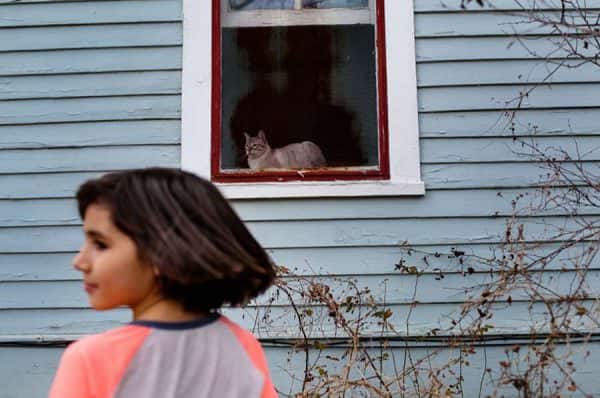 a little girl looking out a window at a cat.