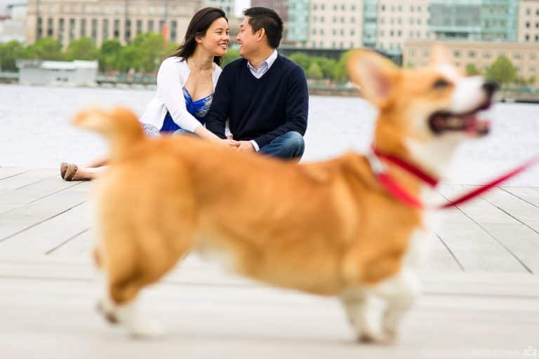 Love and a corgi puppy at Boston’s Charles River – Angela + Andrew