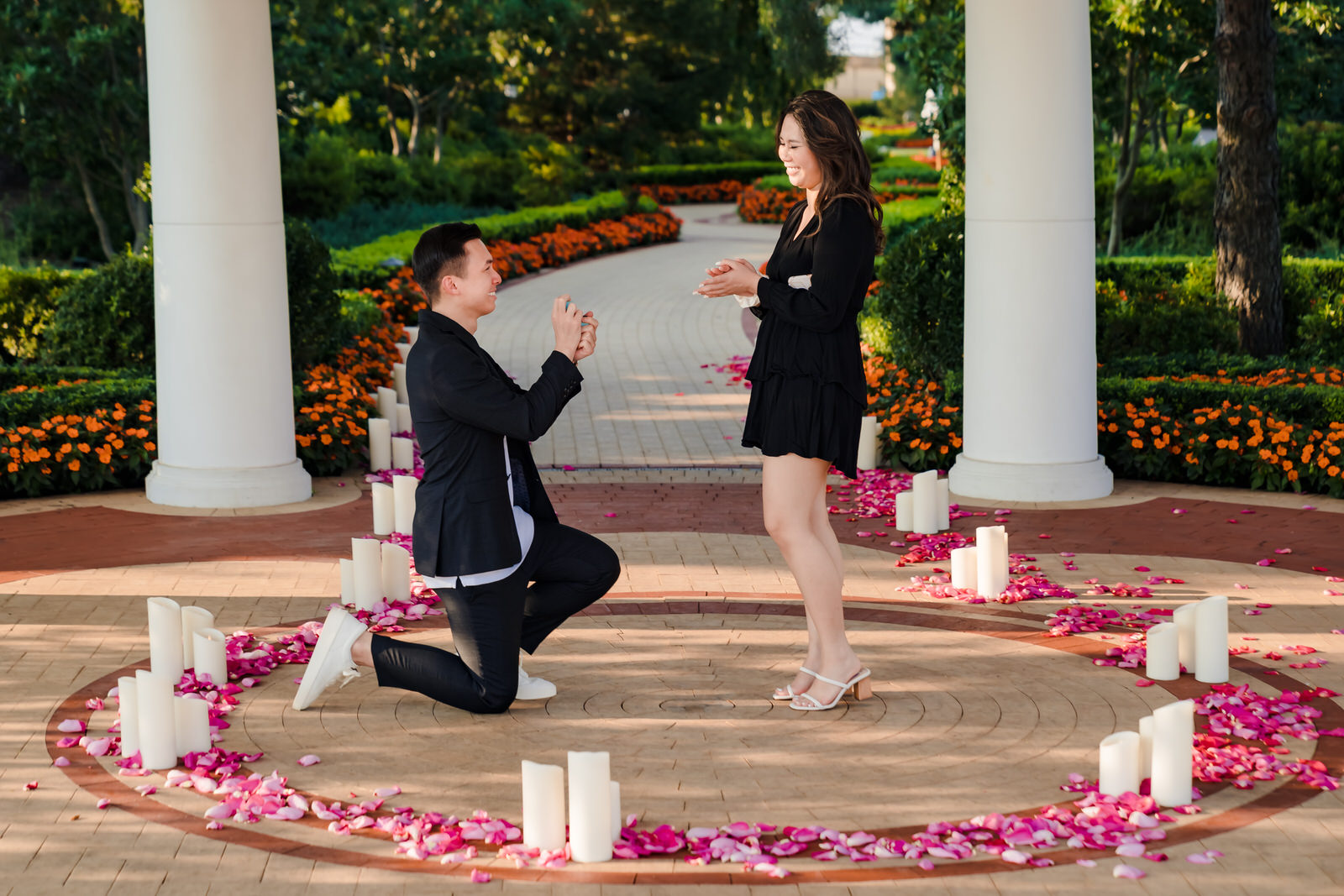 Boston proposal with rose petals by Boston proposal photographer Nicole Chan Photography