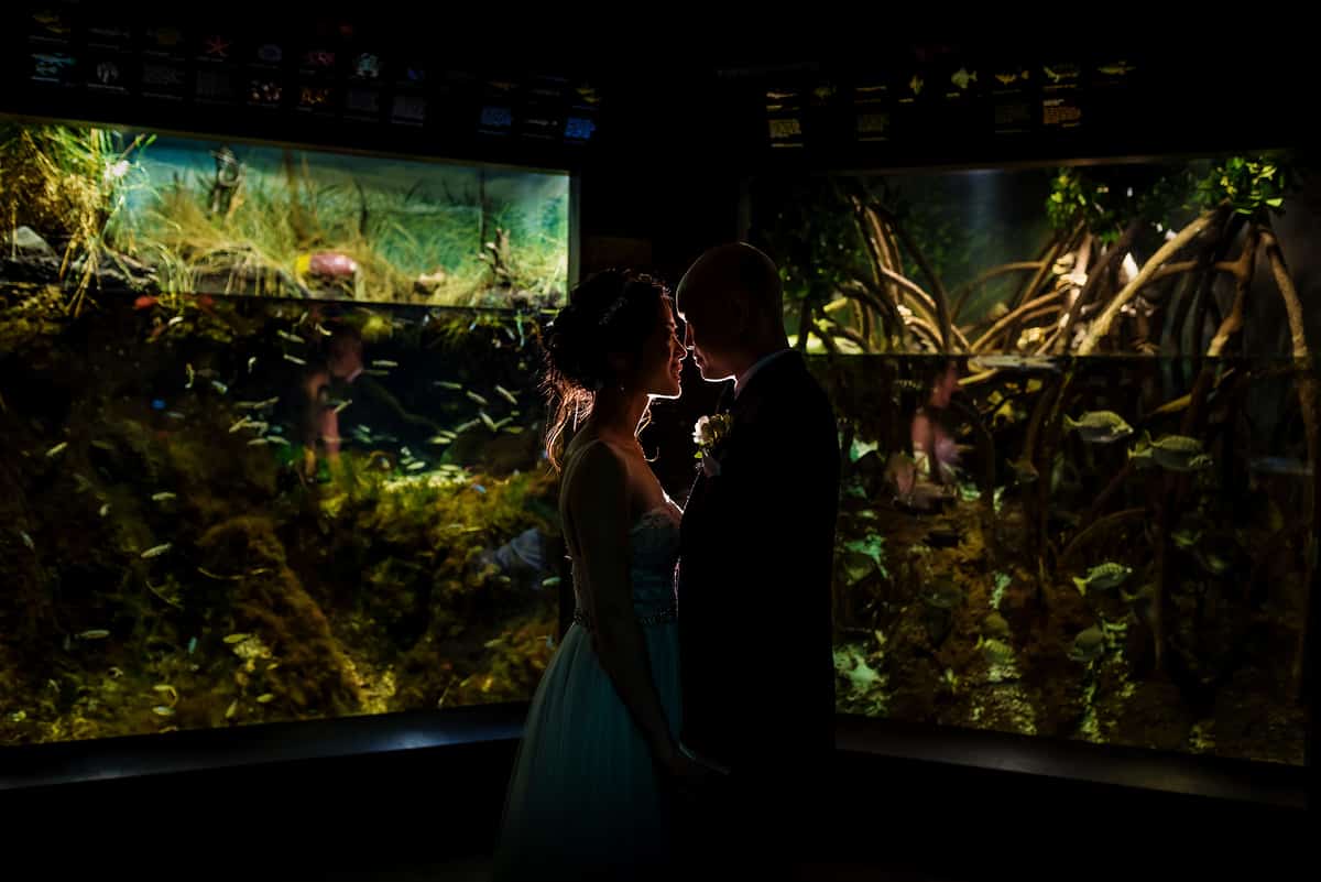 New England Aquarium wedding photos