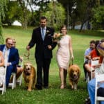 Larz Anderson Park wedding in Brookline, MA