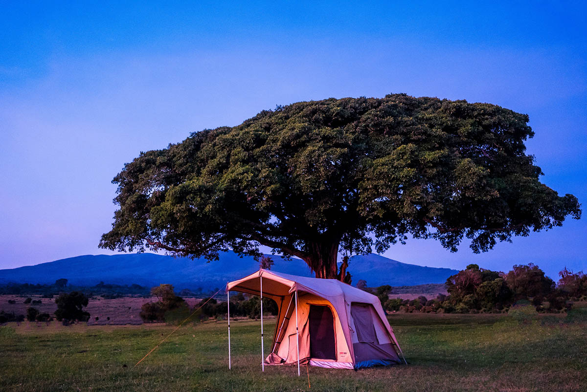 a tent set up under a tree in a field.