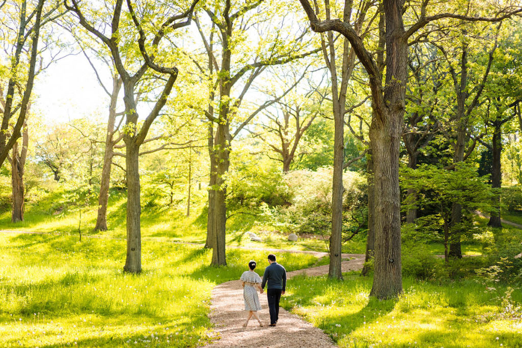 Couple walking through tall trees at the Arnold Arboretum
