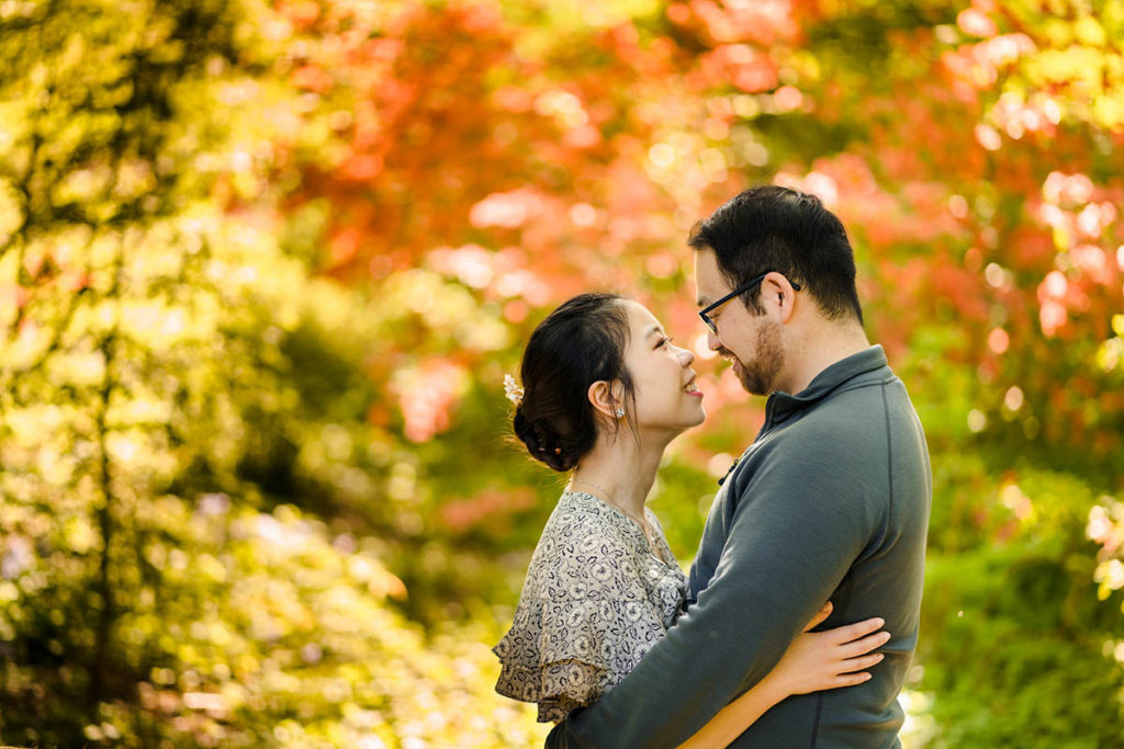 Engagement session at Arnold Arboretum with orange and yellow foliage leaves