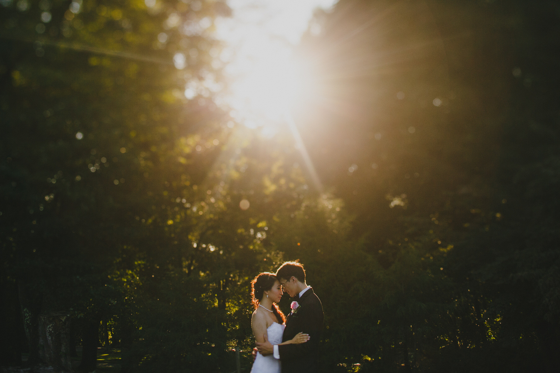 a bride and groom standing in front of the sun.