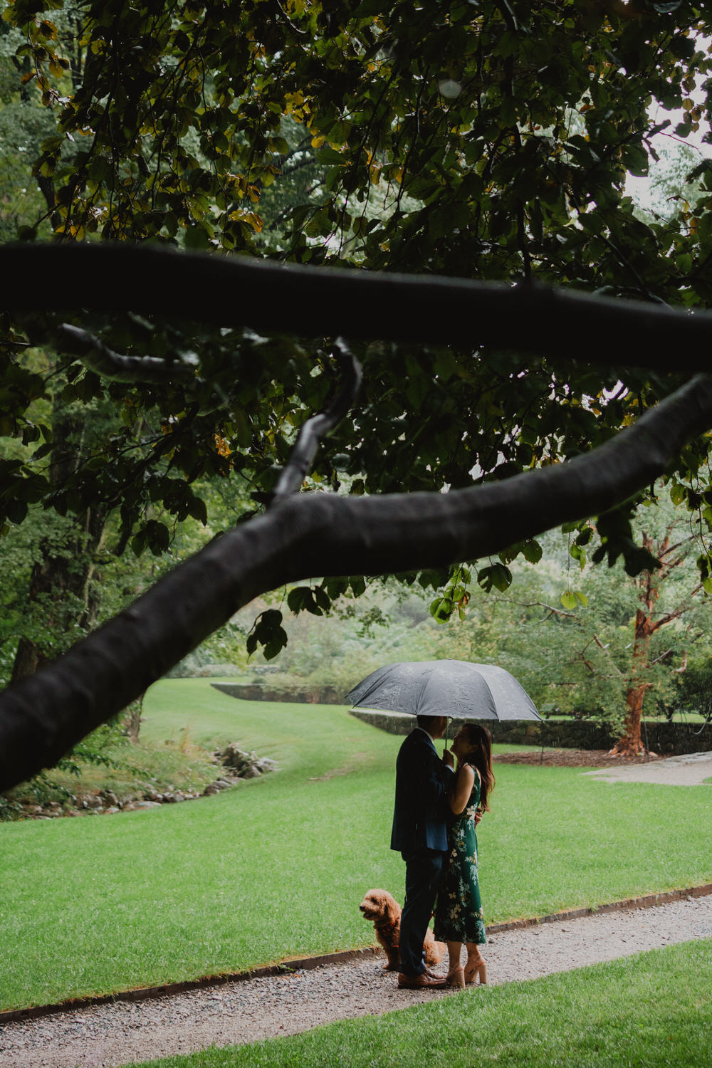 A couple's romantic engagement photos under an umbrella at Arnold Arboretum.
