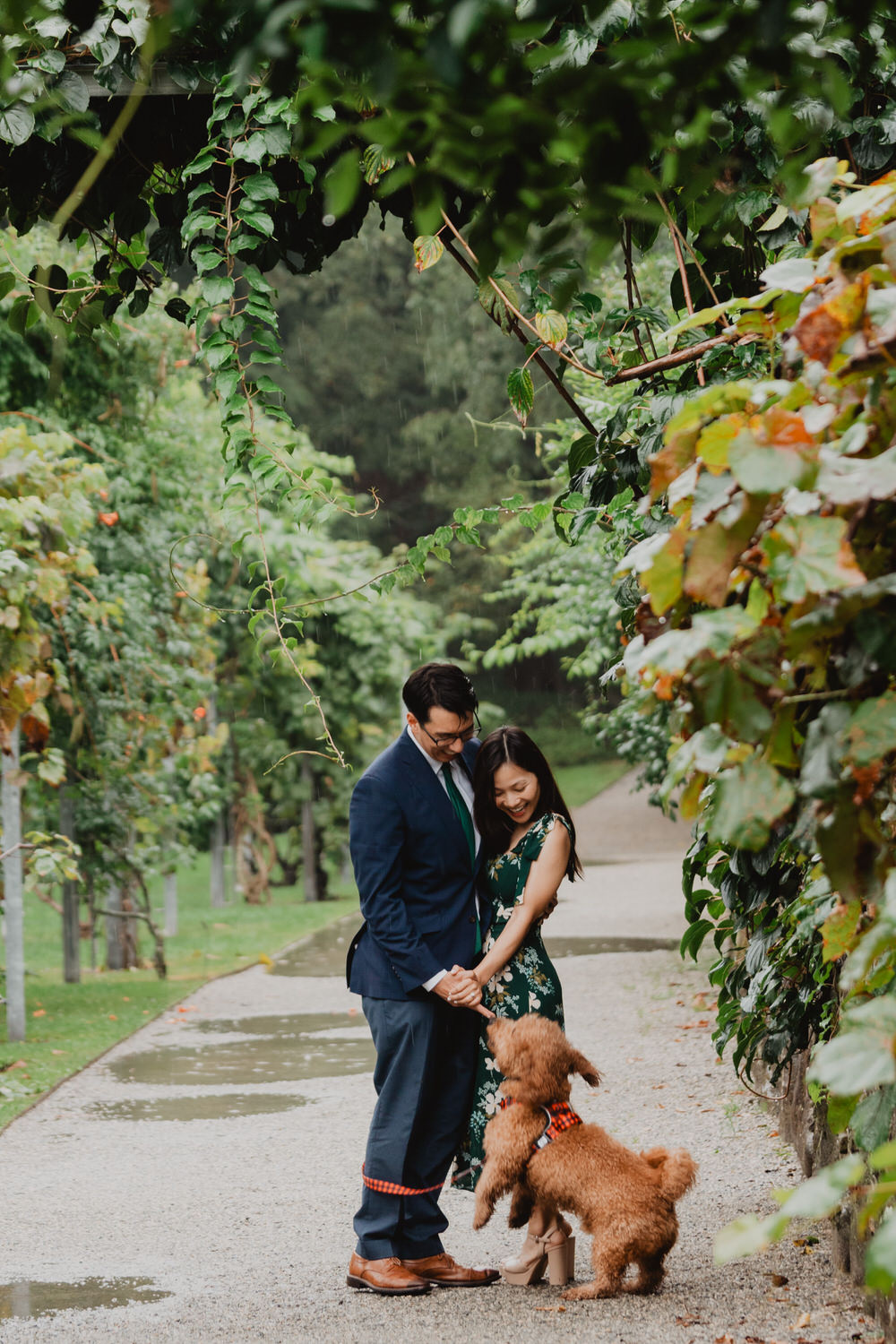 An engaged couple walking their dog through the Arnold Arboretum for their engagement photos.