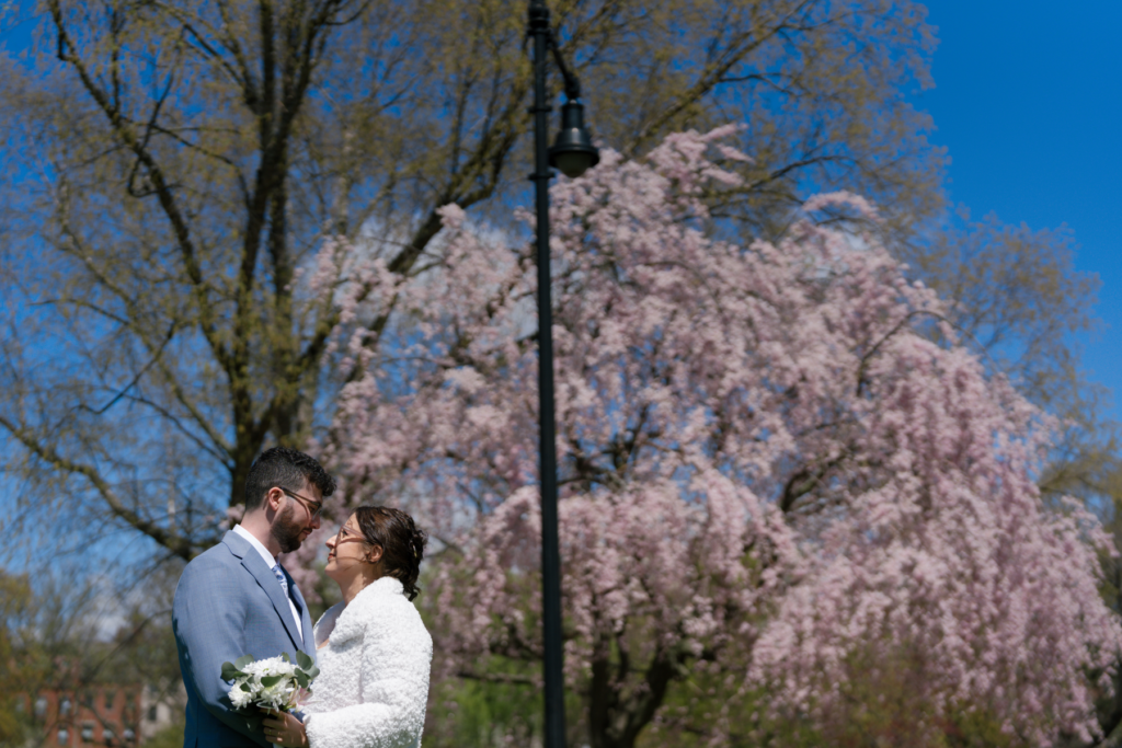 Cherry blossom