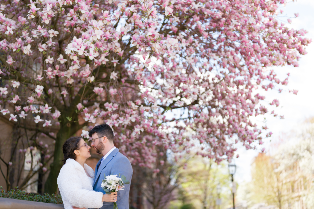 Cherry blossom